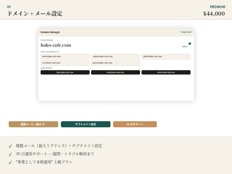 ドメイン+メール設定 Premium モック